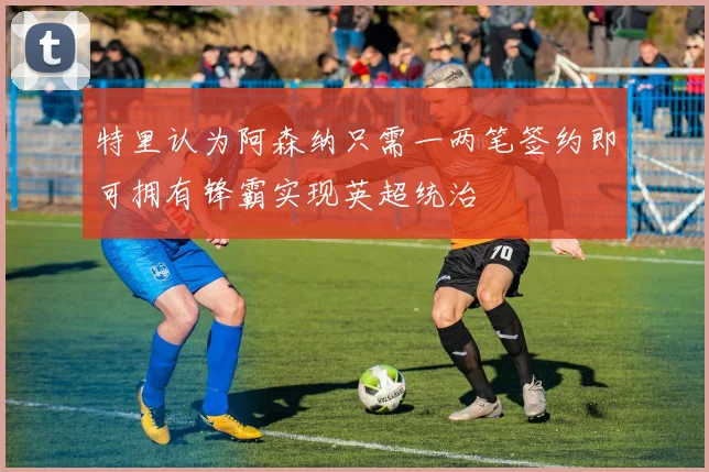 特里认为阿森纳只需一两笔签约即可拥有锋霸实现英超统治